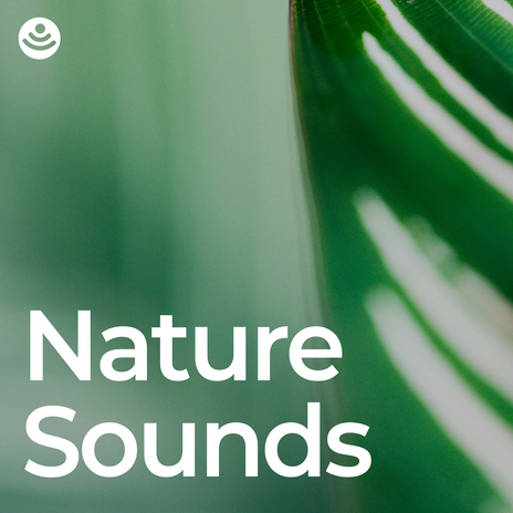 Nature's Best Relaxing Sounds (Loopable, No Fade) ft. Nature Radiance & Worldwide Nature Studios | Boomplay Music