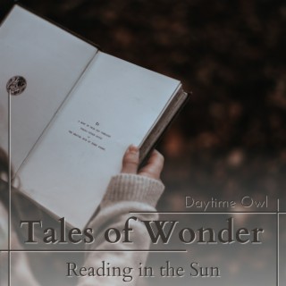 Tales of Wonder - Reading in the Sun