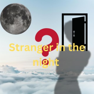 Stranger in the night