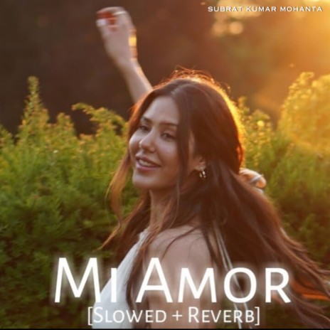 Mi Amor (Slowed And Reverb)
