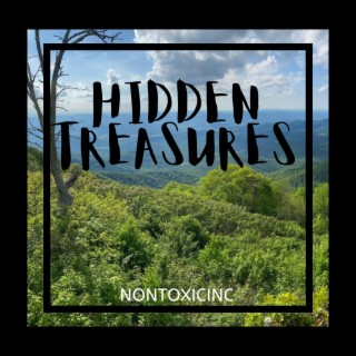 Hidden Treasures