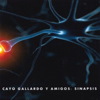 Cayo Gallardo y Amigos: Sinapsis