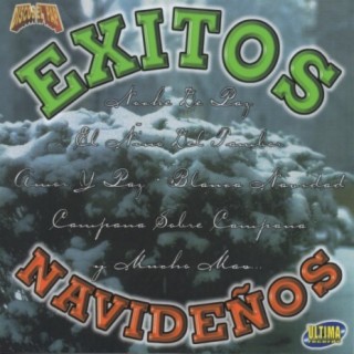 Exitos Navidenos