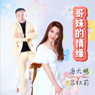 哥妹的情缘（对唱DJ版） ft. 吕红莉 lyrics | Boomplay Music