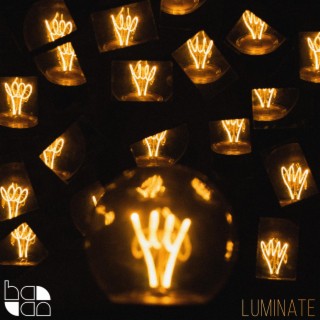 Luminate