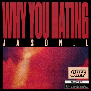 Why You Hating (Radio Edit)