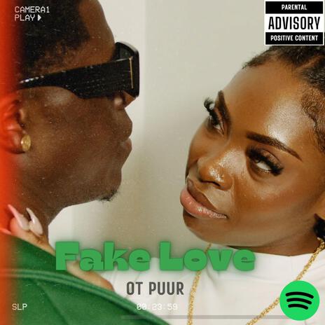 Fake Love | Boomplay Music