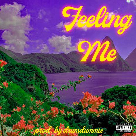 Feeling Me ft. DrumDummies | Boomplay Music