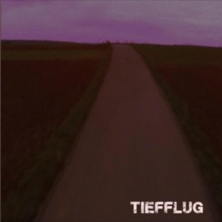 Tiefflug