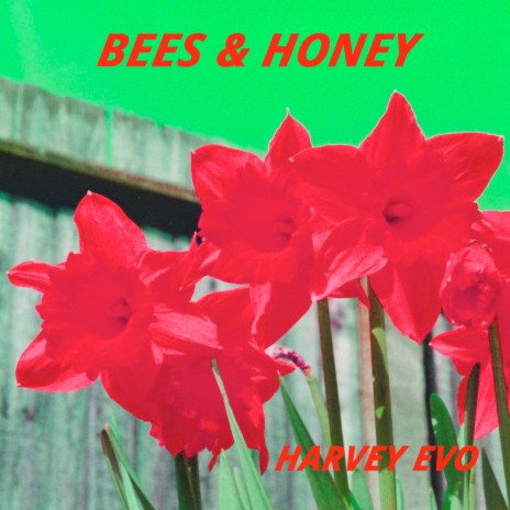 Bees & Honey | Boomplay Music