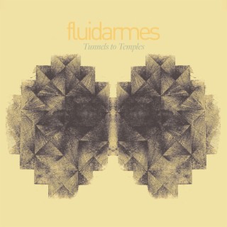 fluidarmes