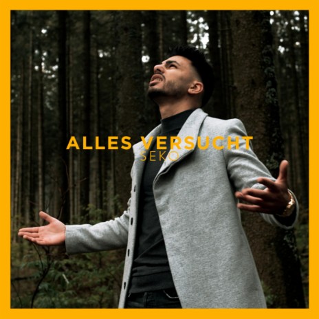 Alles versucht | Boomplay Music