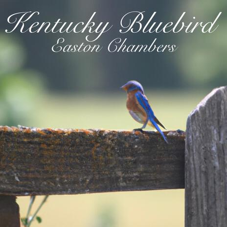 Kentucky Bluebird | Boomplay Music