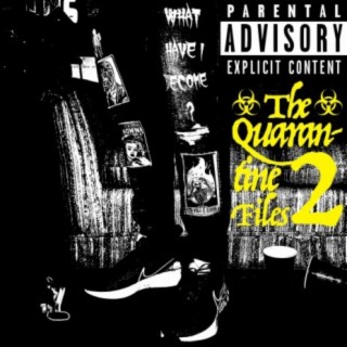 The Quarantine Files 2