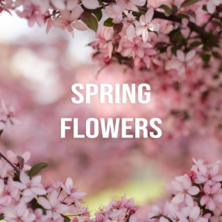 Spring Flowers (Piano Solo)