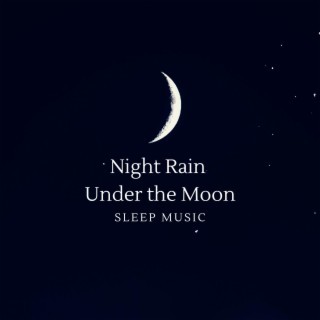 Night Rain Under the Moon