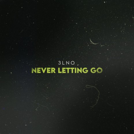 Never Letting Go | Boomplay Music