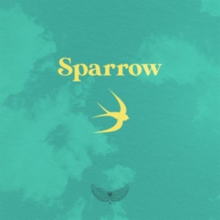 Sparrow