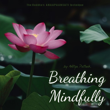 Breathing Mindfully (Anapansati)