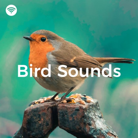 Songbird Sonnet ft. Scandinavian Birds & KEI NATURE | Boomplay Music