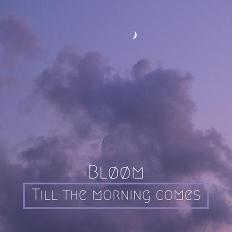 Till the morning comes | Boomplay Music