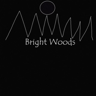 Bright Woods