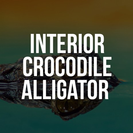 Interior Crocodile Alligator (TikTok Challenge) | Boomplay Music