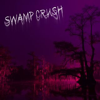 SWAMP CRASH