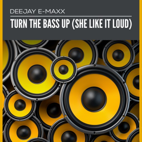 Turn the Bass up (She Like It Loud) Radio Version | Boomplay Music