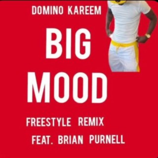 Big Mood Freestyle (Remix)