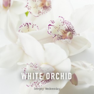 White Orchid