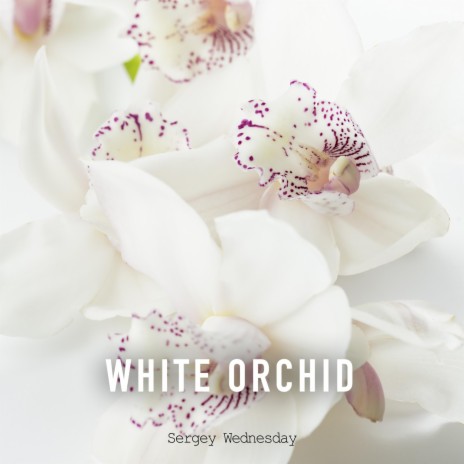 White Orchid (Short Piano Version)