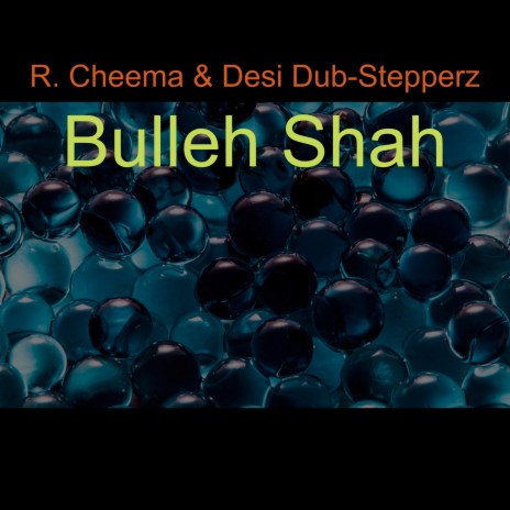 Bulleh Shah ft. Desi Dub-Stepperz