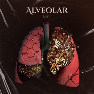 Alveolar (Deluxe)