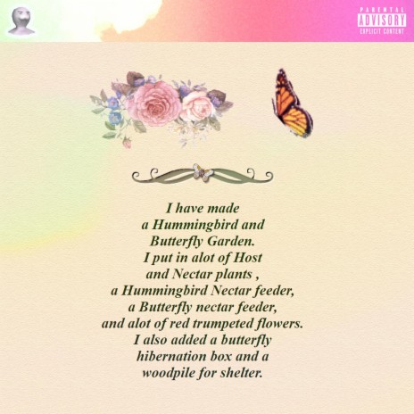 Butterflies | Boomplay Music