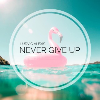 Never Give Up