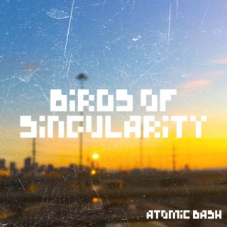 Birds of Singularity