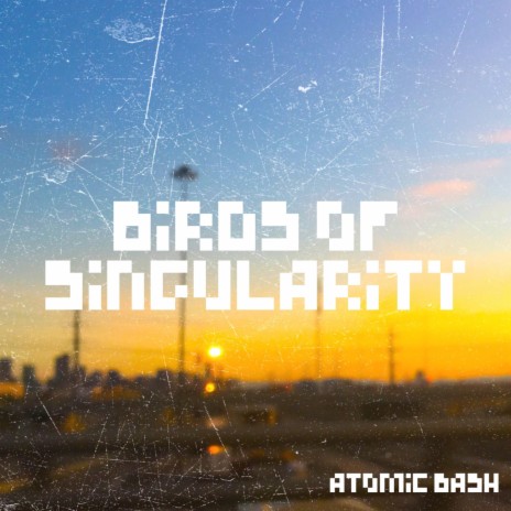 Birds of Singularity