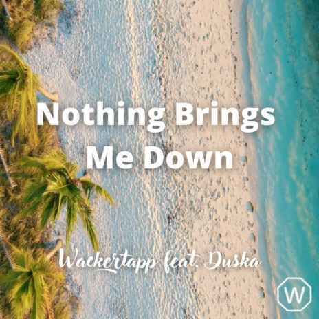 Nothing Brings Me Down ft. Duška | Boomplay Music