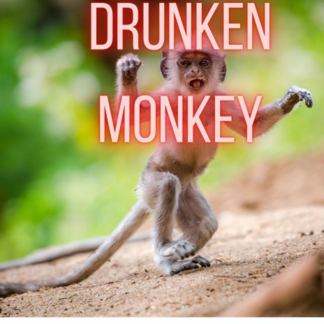 Drunken Monkey | Boomplay Music