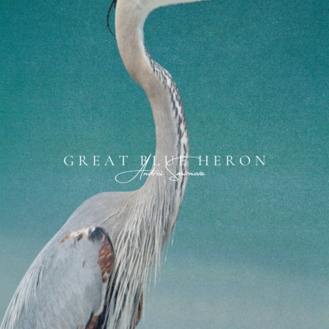 Great Blue Heron | Boomplay Music