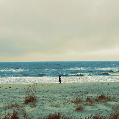 to the beach and back [fr] | Boomplay Music