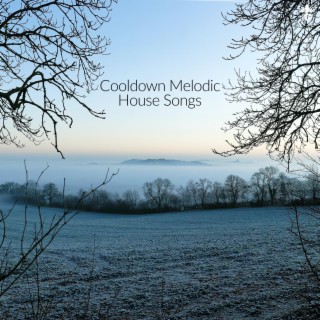 Cooldown Melodic House Songs