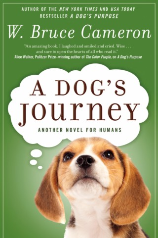 A Dogs Journey by Bruce Cameron, book to movie review