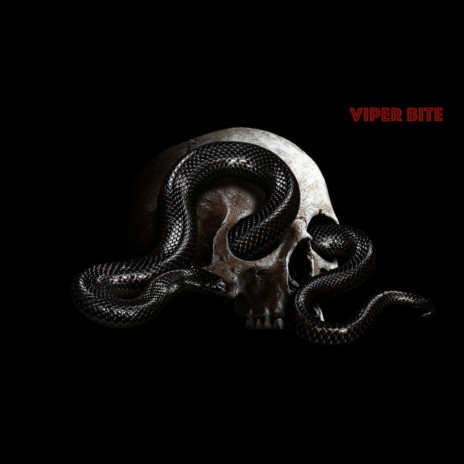 Viper Bite | Boomplay Music