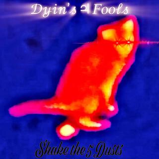 Dyin’s ♃ Fools