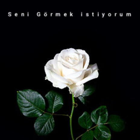 Seni Görmek istiyorum | Boomplay Music