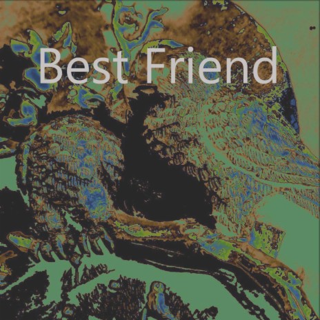 Best Friend | Boomplay Music