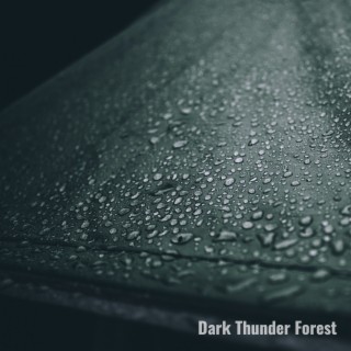 Dark Thunder Forest