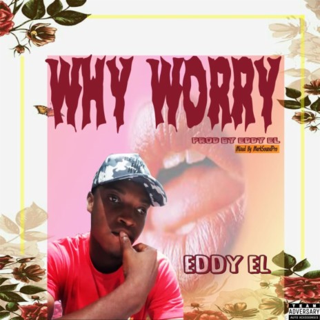 Why Worry | Boomplay Music